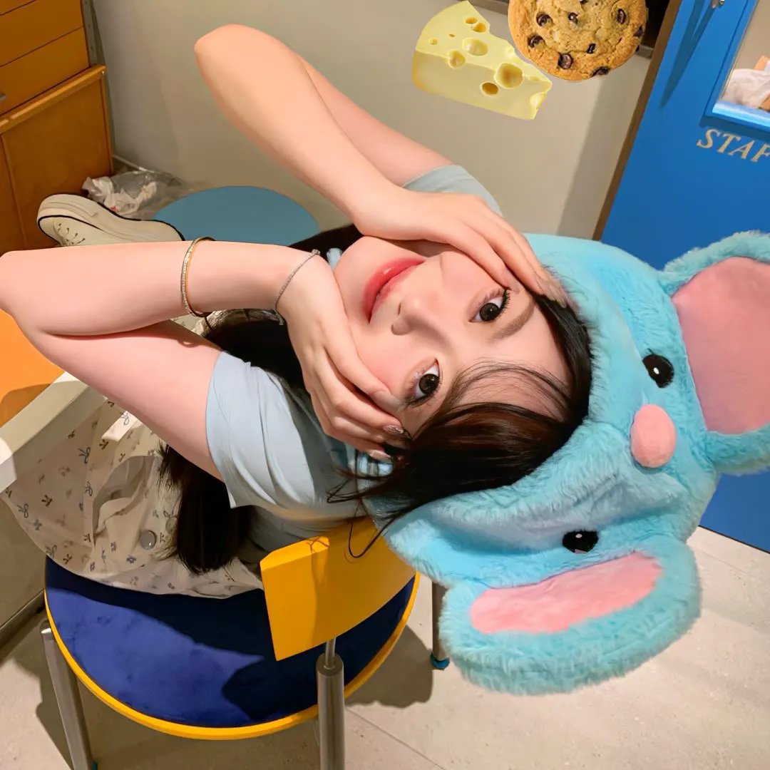 安妮回忆录
